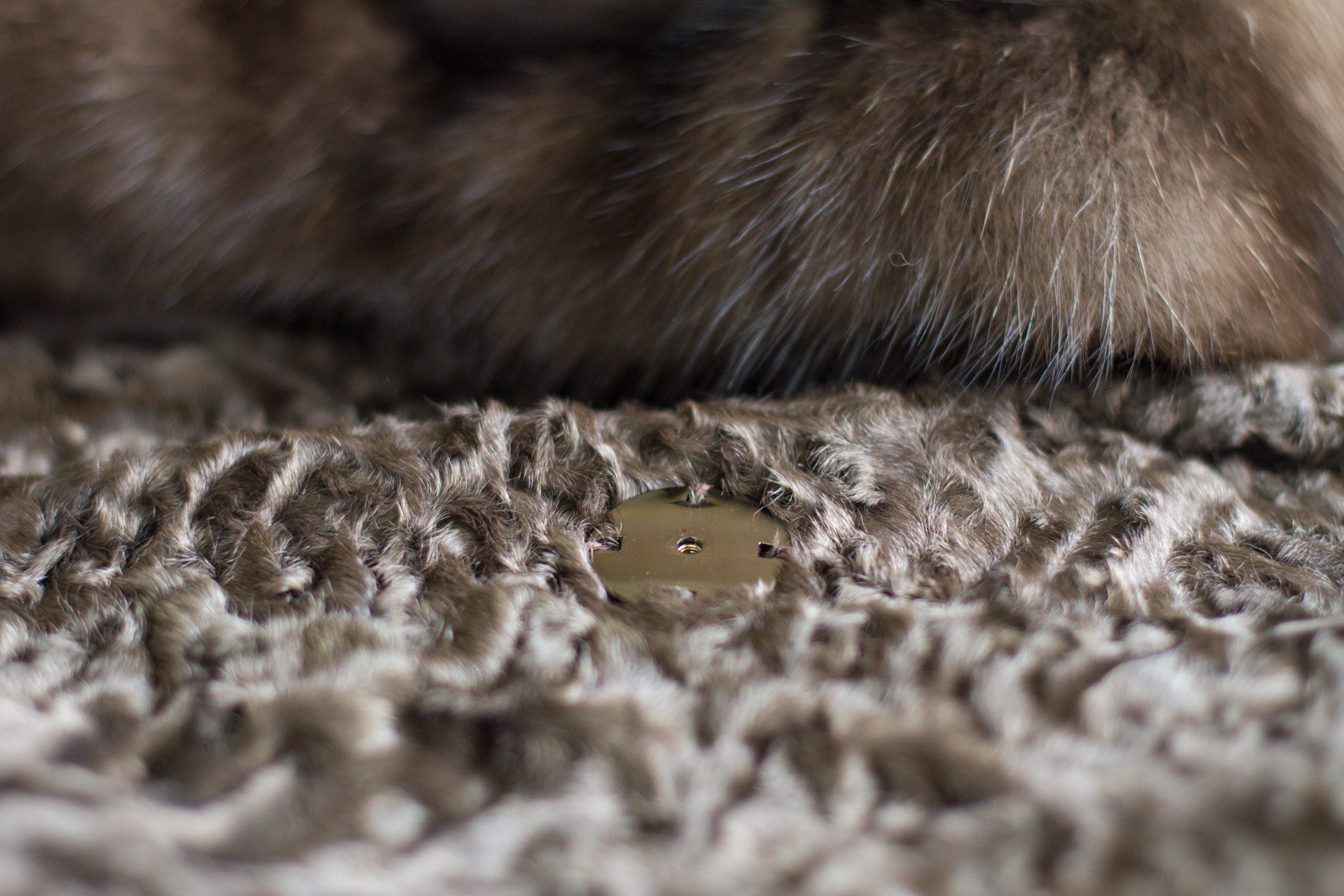 Zoom