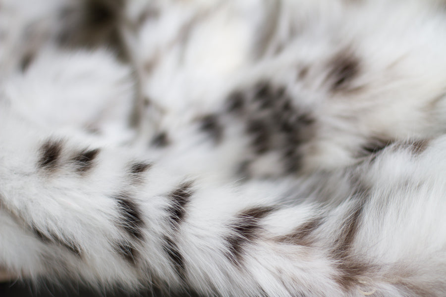 White Lynx Fur Jacket with Hood luxury