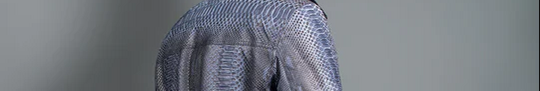 All about python skin