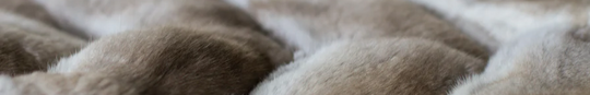 What is the softest fur in the world?